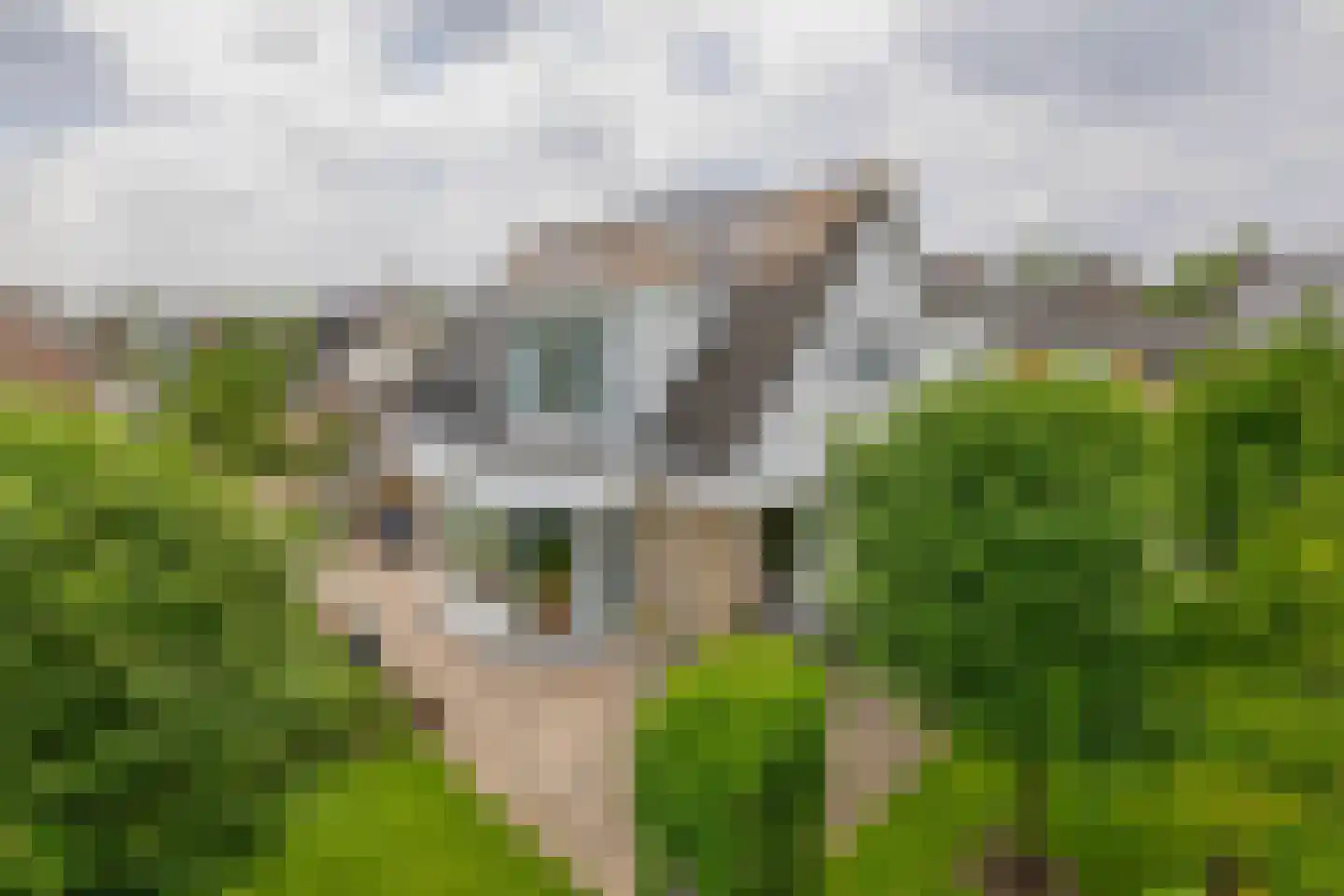 Hofje van Loo 13 Krimpen aan den IJssel thumbnail 60