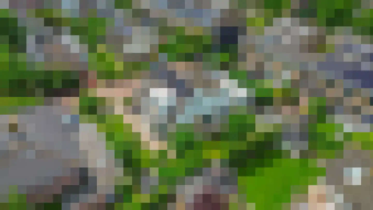 Hofje van Loo 13 Krimpen aan den IJssel thumbnail 64