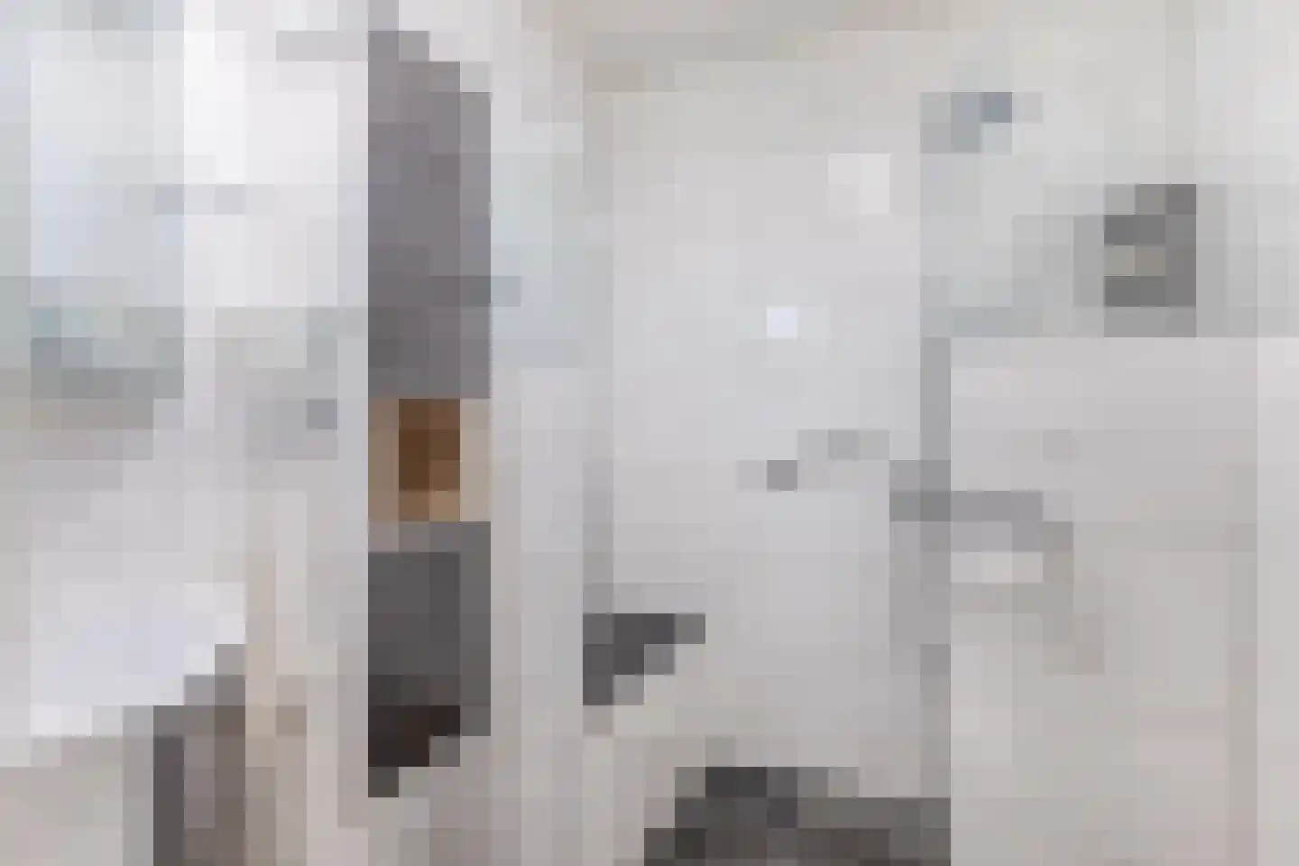 Hofje van Loo 13 Krimpen aan den IJssel thumbnail 8