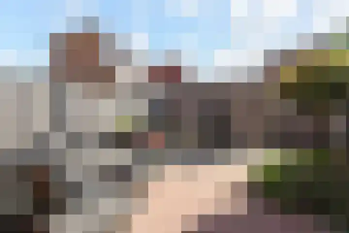 Hofje van Maat 16 Poeldijk foto 3