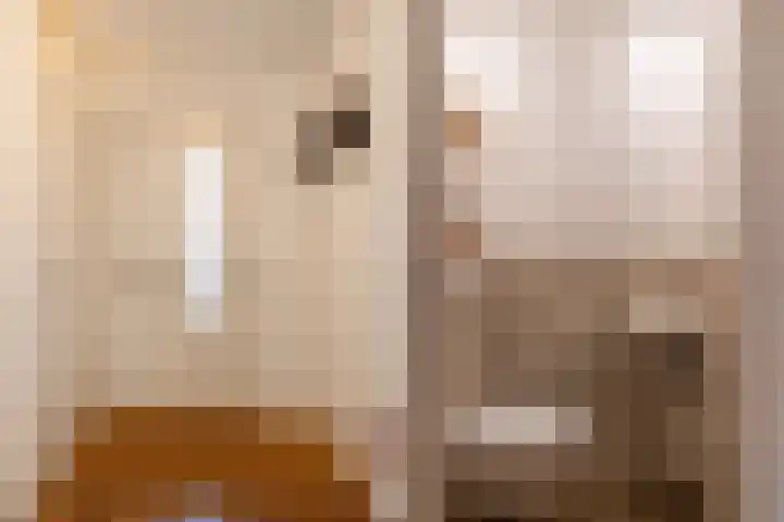 Hofje van Maat 16 Poeldijk thumbnail 7