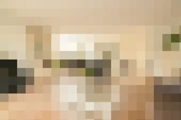Hofje van Maat 23 Poeldijk thumbnail 11