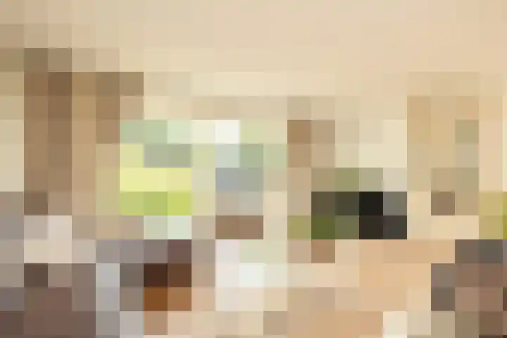 Hofje van Maat 23 Poeldijk thumbnail 12