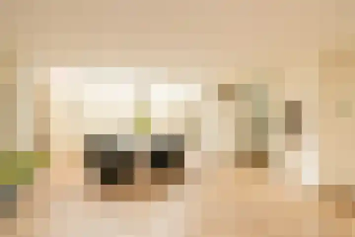 Hofje van Maat 23 Poeldijk thumbnail 13