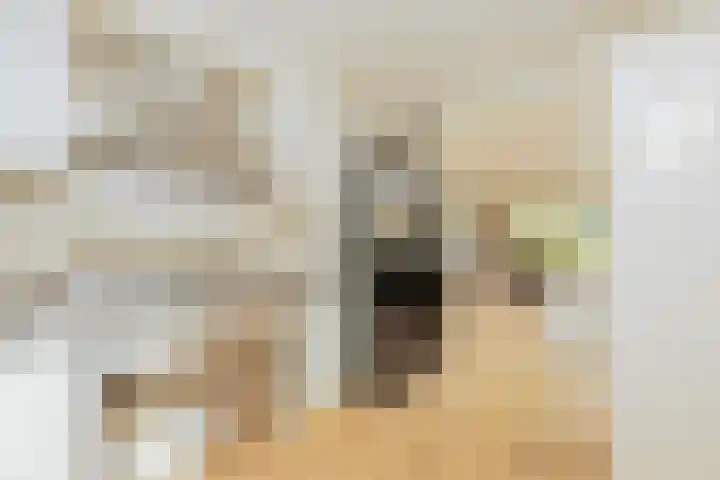 Hofje van Maat 23 Poeldijk thumbnail 15