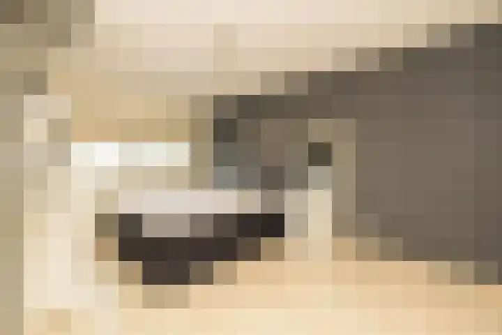 Hofje van Maat 23 Poeldijk thumbnail 18