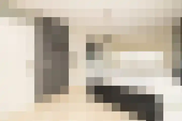 Hofje van Maat 23 Poeldijk thumbnail 19