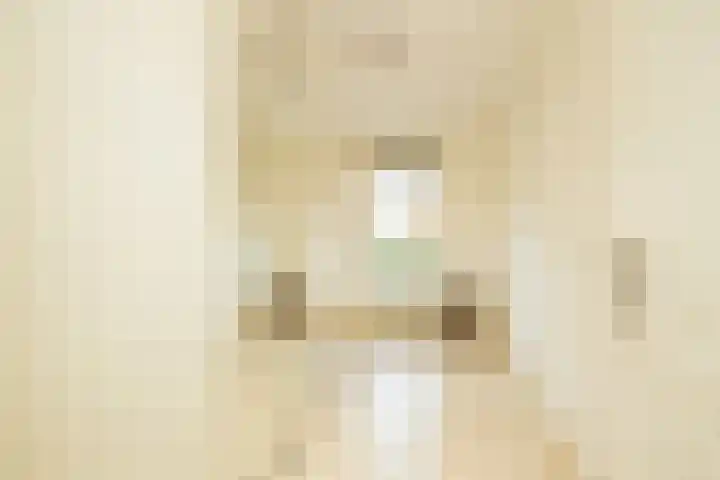 Hofje van Maat 23 Poeldijk thumbnail 21