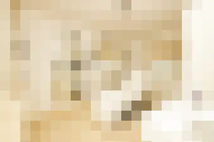 Hofje van Maat 23 Poeldijk thumbnail 26