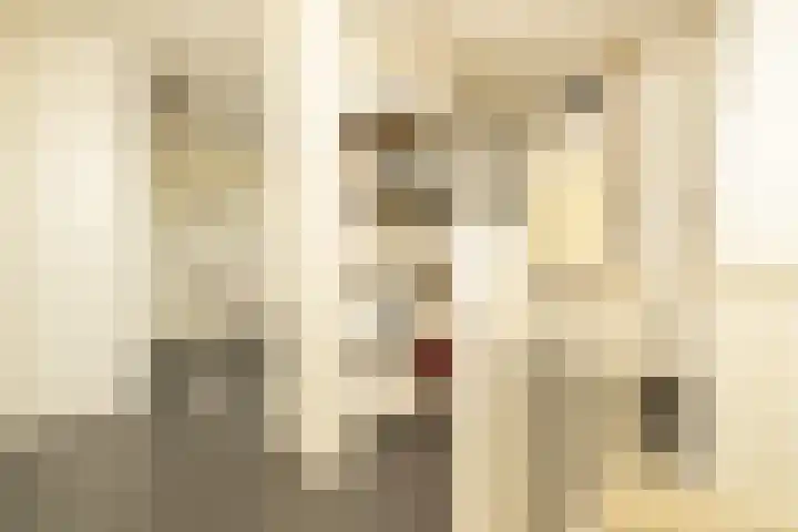 Hofje van Maat 23 Poeldijk thumbnail 27