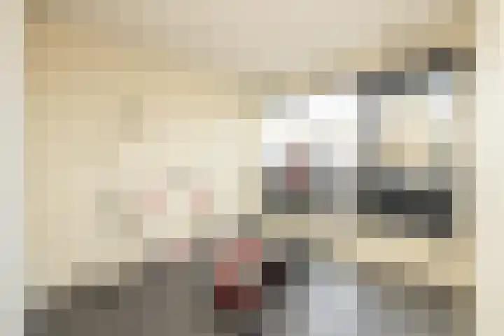Hofje van Maat 23 Poeldijk thumbnail 31