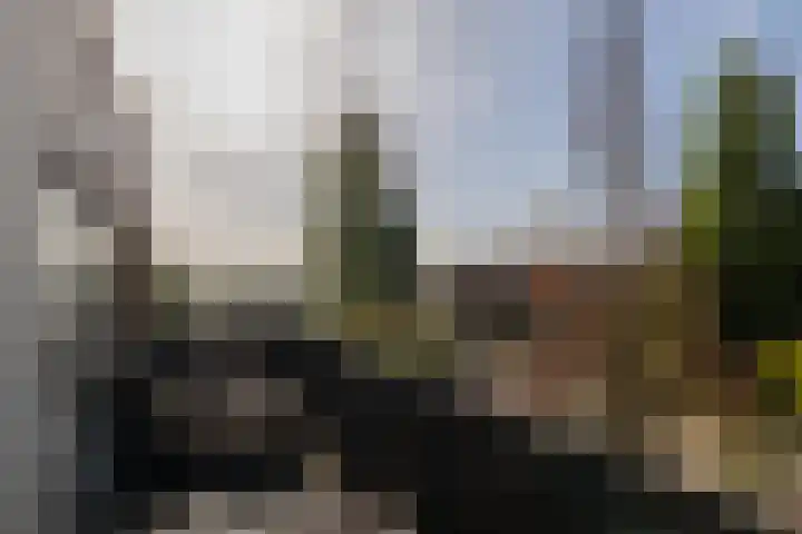 Hofje van Maat 23 Poeldijk thumbnail 32