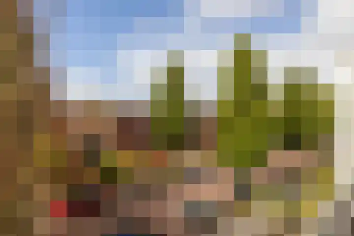 Hofje van Maat 23 Poeldijk thumbnail 33