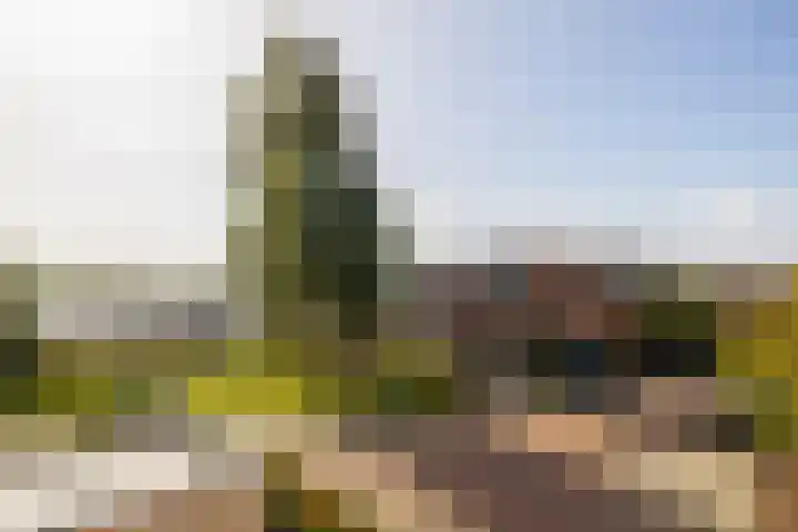 Hofje van Maat 23 Poeldijk thumbnail 34