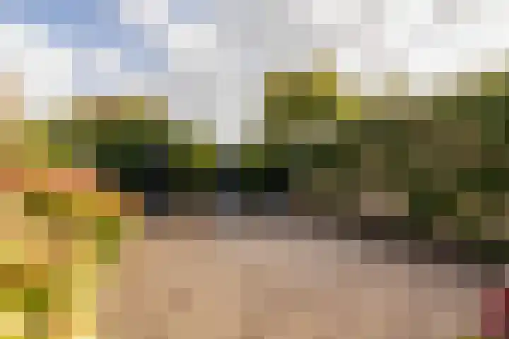 Hofje van Maat 23 Poeldijk thumbnail 35