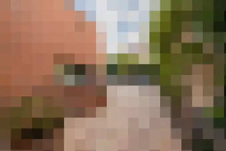 Hofje van Maat 23 Poeldijk thumbnail 36
