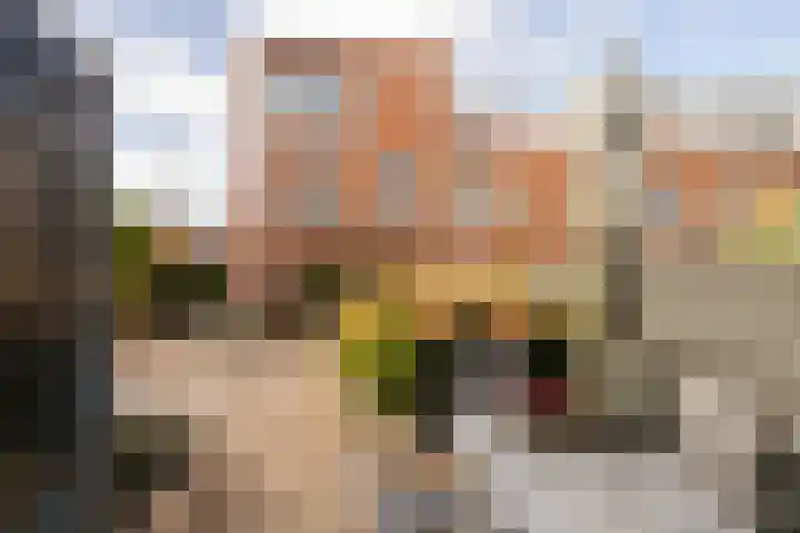 Hofje van Maat 23 Poeldijk thumbnail 39