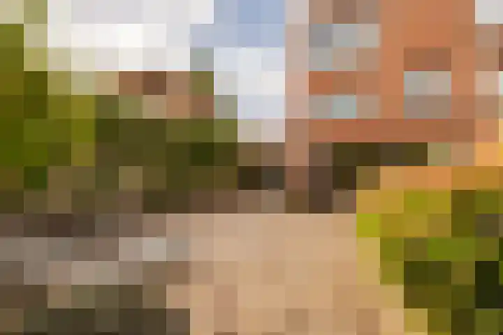 Hofje van Maat 23 Poeldijk thumbnail 40