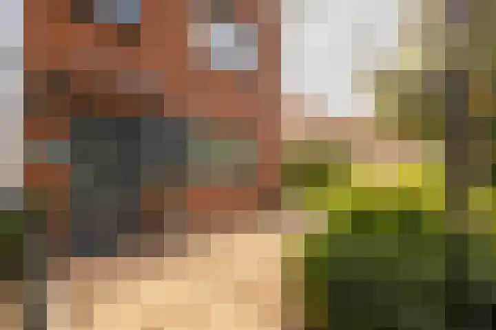 Hofje van Maat 23 Poeldijk thumbnail 5