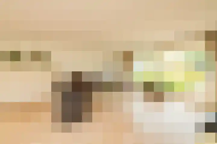 Hofje van Maat 23 Poeldijk thumbnail 9