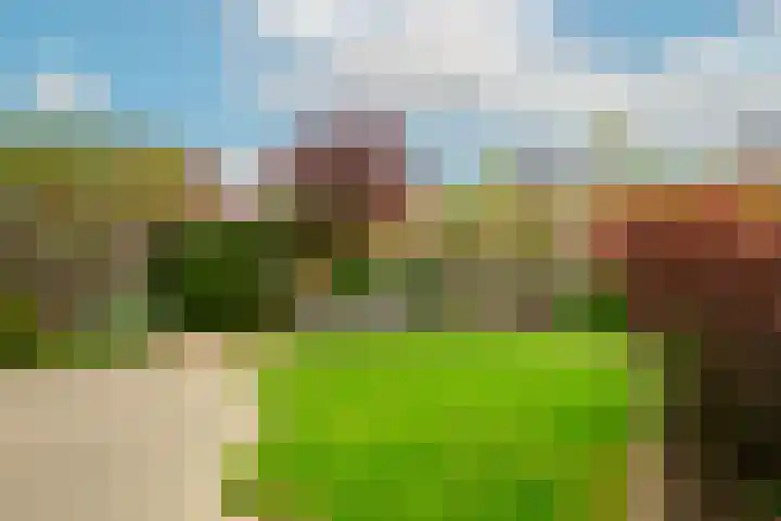 Hofje van Maat 32 Poeldijk thumbnail 10