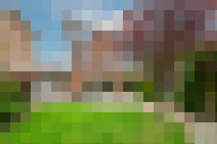 Hofje van Maat 32 Poeldijk thumbnail 11