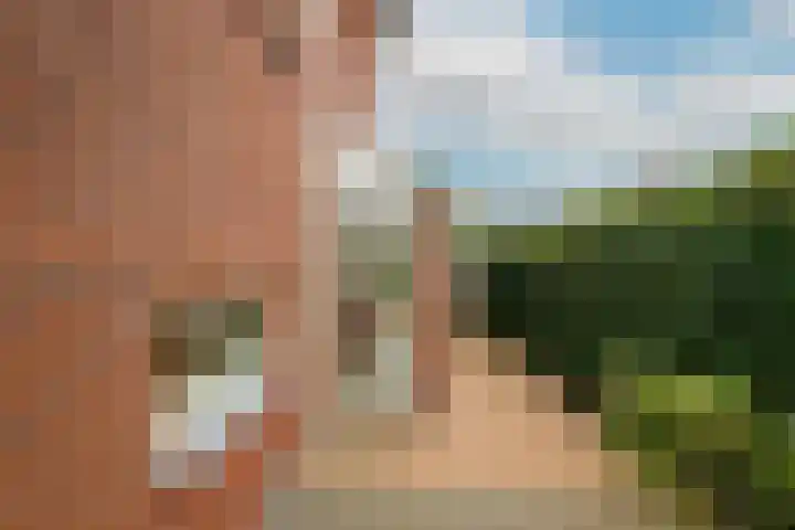 Hofje van Maat 32 Poeldijk thumbnail 13