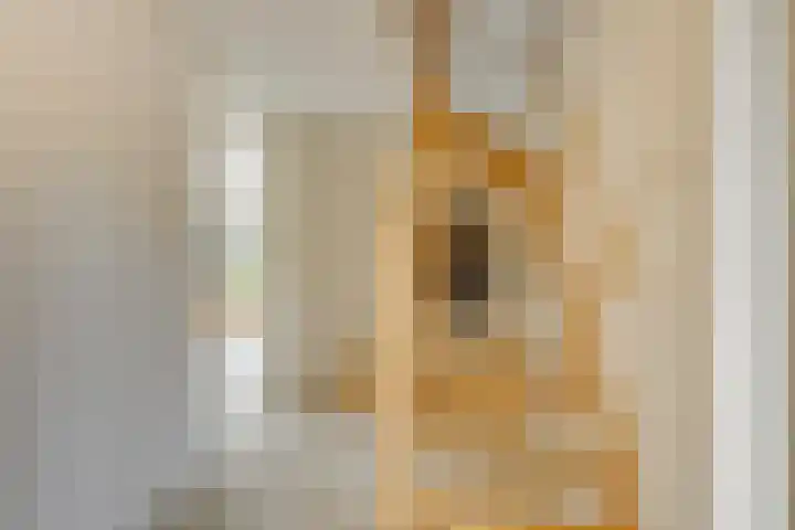 Hofje van Maat 32 Poeldijk thumbnail 16