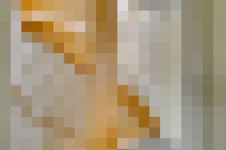 Hofje van Maat 32 Poeldijk thumbnail 25