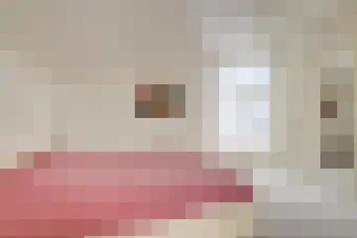 Hofje van Maat 32 Poeldijk thumbnail 27