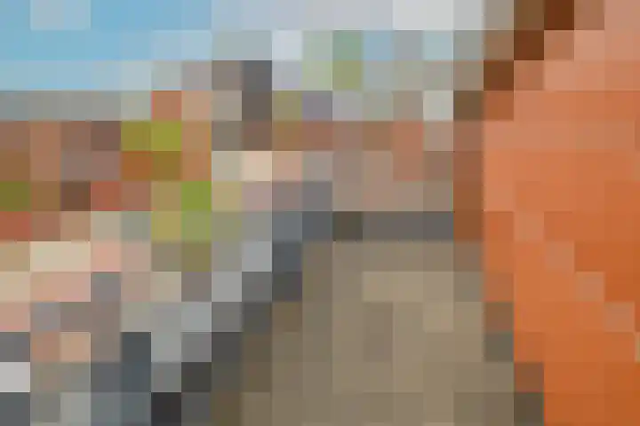 Hofje van Maat 32 Poeldijk thumbnail 31