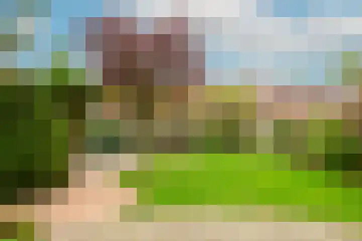 Hofje van Maat 32 Poeldijk thumbnail 9