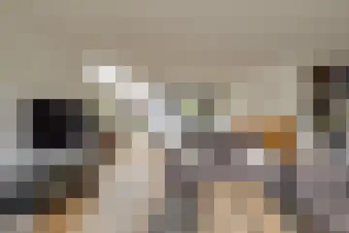 Hofje van Maat 41 Poeldijk thumbnail 10