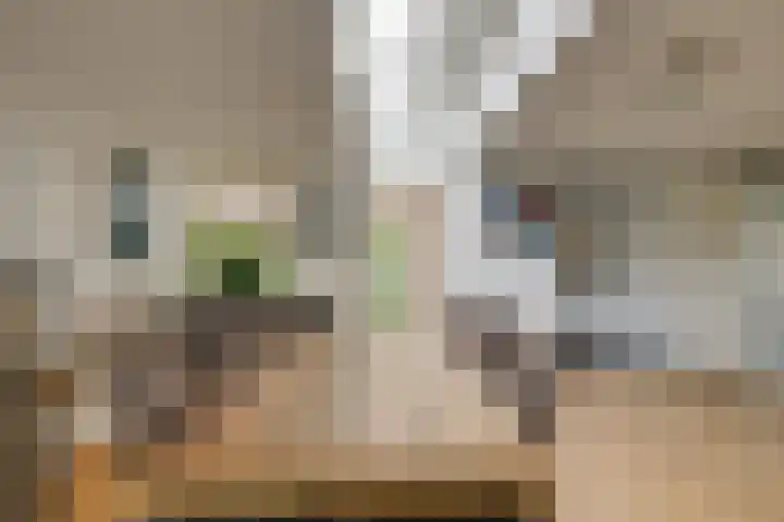 Hofje van Maat 41 Poeldijk thumbnail 11