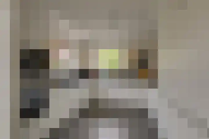 Hofje van Maat 41 Poeldijk thumbnail 12