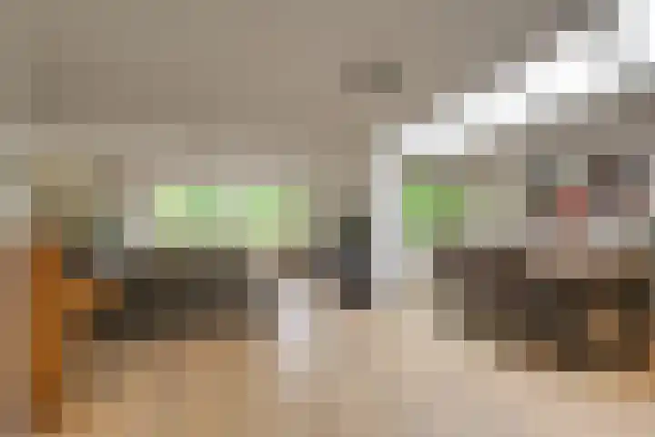 Hofje van Maat 41 Poeldijk thumbnail 16