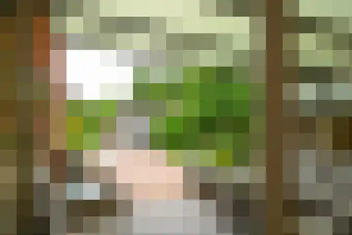 Hofje van Maat 41 Poeldijk thumbnail 17