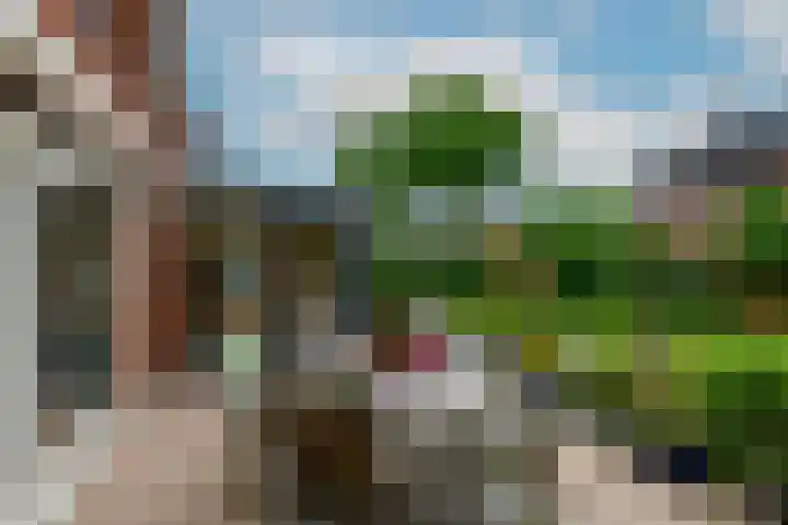 Hofje van Maat 41 Poeldijk thumbnail 19