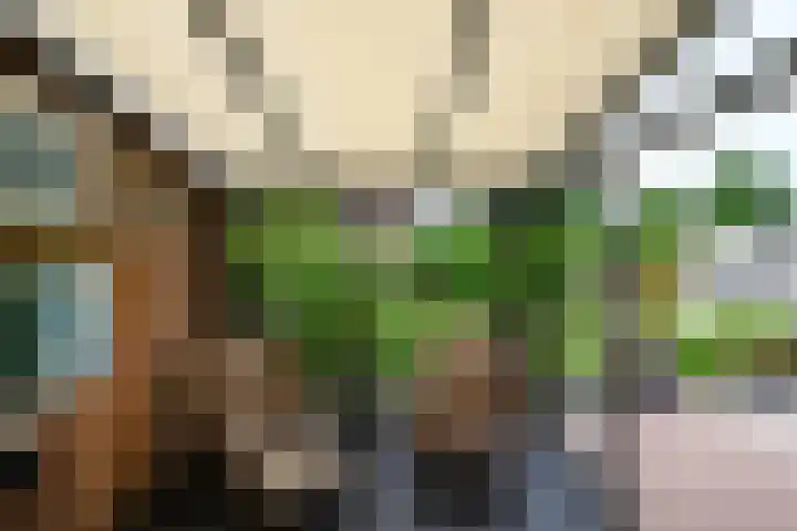Hofje van Maat 41 Poeldijk thumbnail 21