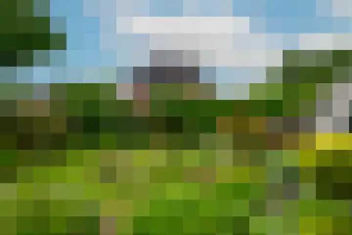 Hofje van Maat 41 Poeldijk thumbnail 23