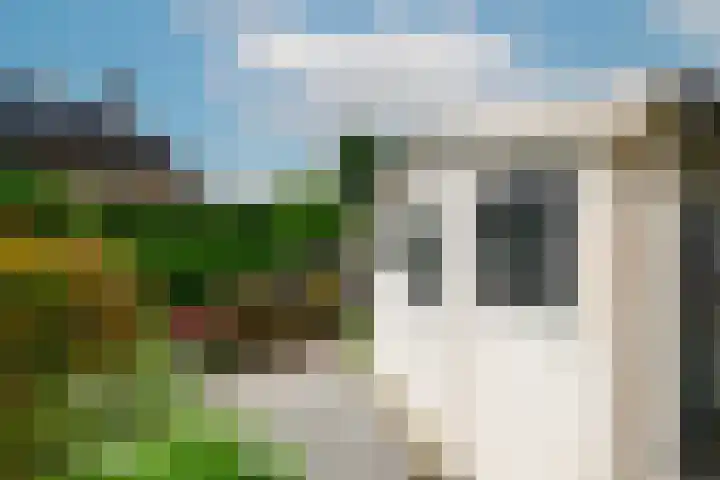 Hofje van Maat 41 Poeldijk thumbnail 24