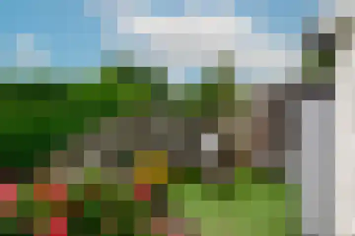 Hofje van Maat 41 Poeldijk thumbnail 25