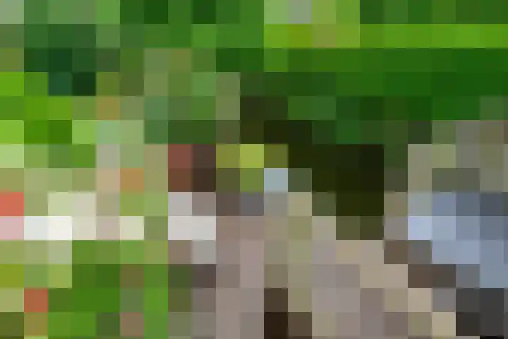 Hofje van Maat 41 Poeldijk thumbnail 26
