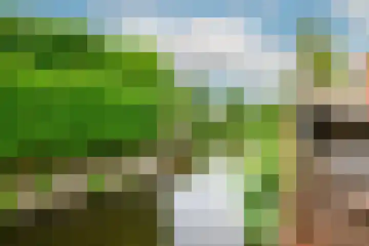 Hofje van Maat 41 Poeldijk thumbnail 27