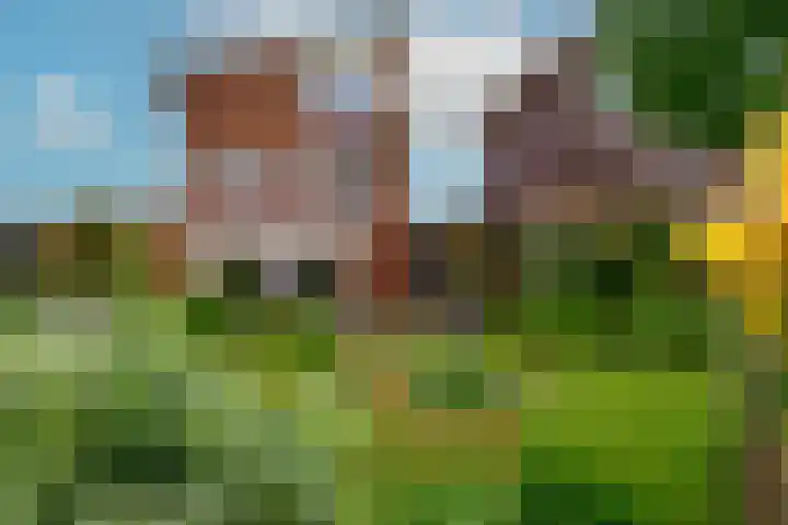 Hofje van Maat 41 Poeldijk thumbnail 28