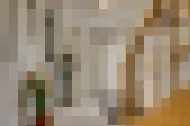 Hofje van Maat 41 Poeldijk thumbnail 29