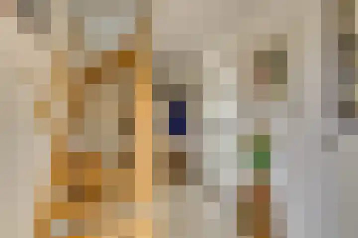 Hofje van Maat 41 Poeldijk thumbnail 31