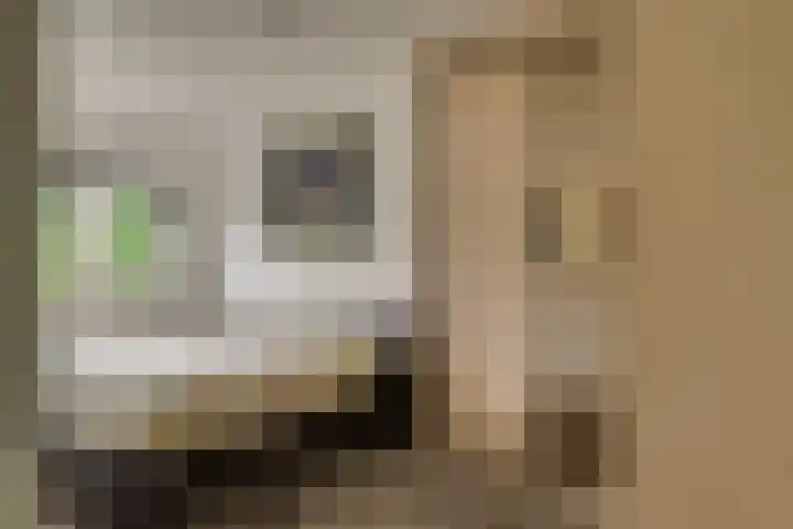 Hofje van Maat 41 Poeldijk thumbnail 32