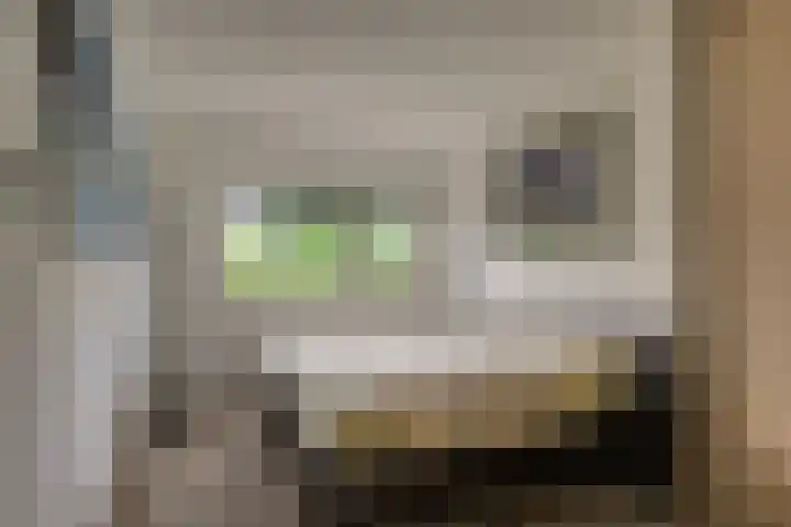 Hofje van Maat 41 Poeldijk thumbnail 33