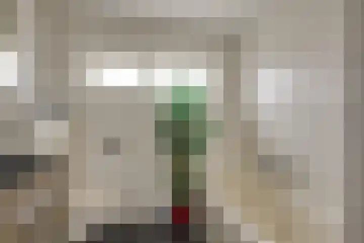 Hofje van Maat 41 Poeldijk thumbnail 36